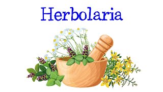 🌿¿Qué es la Herbolaria🌿 Fácil y Rápido  BIOLOGÍA [upl. by Ludly]