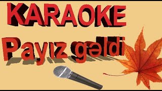 Payiz geldi ucdu getdi quslar karaoke [upl. by Orianna]