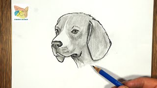 Comment dessiner une tete de chien facilement [upl. by Kit]