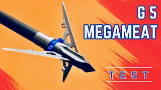 G5 MEGAMEAT 100 gr Broadhead Test [upl. by Ateuqram295]