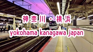 YOKOHAMA WALK 横浜駅ジョイナス地下街を散策 202008 [upl. by Alor]