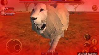 Ultimate lion Simulator Gameplay 2 [upl. by Noved710]