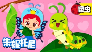 🦋😀蝴蝶的蜕变  变成美丽的蝴蝶  毛毛虫变蝴蝶  昆虫博士  Kids Song in Chinese  兒歌童謠  卡通動畫  朱妮托尼儿歌  JunyTony [upl. by Inait811]