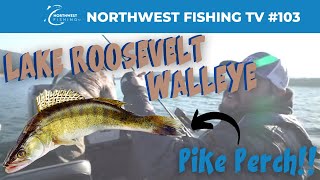 Lake Roosevelt Walleye  Northwest Fishing TV 103 [upl. by Teressa]