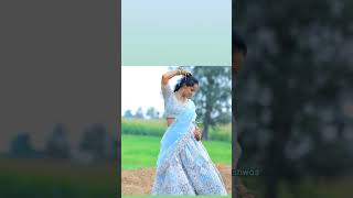 outfit fashion savyasachi blouse design satisfying trending ytshorts tamil song love [upl. by Aleris]