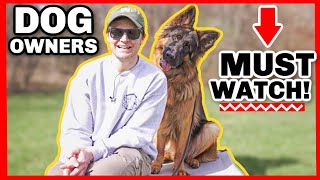 THE BIGGEST OVERLOOKED DOG TRAINING COMMAND [upl. by Eikcaj]