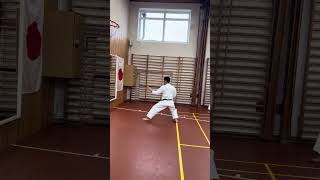 ArimotoSensei slowly demonstrating kata Bassaidai [upl. by Enilauqcaj]