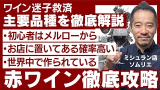 【ワインまずはココから】これだけ覚えて！品種を知ればワインはもっと楽しくなる！【メルロー編】 [upl. by Artapoelc258]