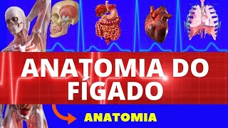 ANATOMIA DO FÍGADO ANATOMIA HUMANA  SISTEMA DIGESTÓRIO  TUDO SOBRE ANATOMIA DO FÍGADO [upl. by Rydder]