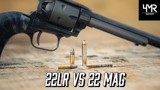 22 Showdown  22lr vs 22 Mag [upl. by Elac536]