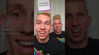 Voros Twins TikTok Compilation  January 2020 [upl. by Moclam107]