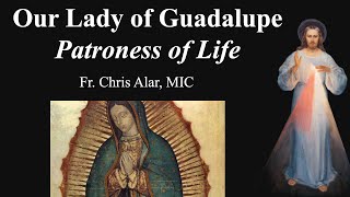 Our Lady of Guadalupe Patroness of Life  Explaining the Faith [upl. by Bedad]