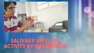 Spectrophotometric Determination of Salivary Amylase Activity [upl. by Nylikcaj]