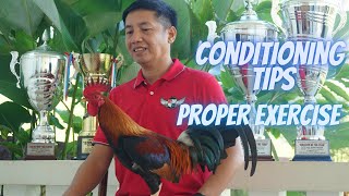 Conditioning Tamang Ehersisyo Sa Ating Panglabang Manok  Light VS Heavy Exercise [upl. by Yelac]