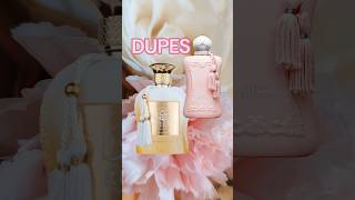 💞 PDM Delina Exclusif DUPE 🪄 Paris Corner Rua  PolyXeniScents [upl. by Aranat35]