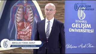 Sağlık Bilimleri Yüksekokulu  İstanbul Gelişim Üniversitesi [upl. by Hanikehs]