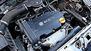 Vauxhall  Opel Corsa C 12L Petrol Startup and Idle Z12XE HD [upl. by Firmin]