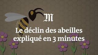 Le déclin des abeilles expliqué en 3 minutes [upl. by Nodrog354]