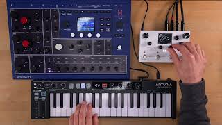 Meris LVX Modular Delay System Sound demo no talking with Waldorf M [upl. by Athalia]