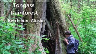 Alaska Cruise Shore Excursion Tongass Rainforest Ketchikan Alaska RECOMMENDED [upl. by Hnirt766]