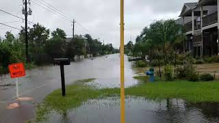 Hurricane Harvey  Toddville Road Seabrook Texas [upl. by Olly]