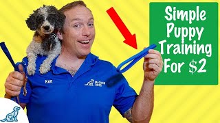 This 2 Tool Will Change EVERYTHING In Your Puppy Training [upl. by Eldwon]