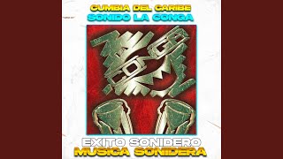 Cumbia Del Caribe Exito Sonido La Conga Radio Edit [upl. by Nitsuga]