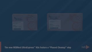 Phased Cleanups for NEBNext UltraExpress™ Kits [upl. by Leile]