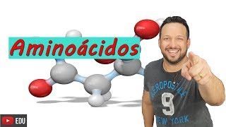 Aminoácidos  Ligações peptídicas  Bioquímica  Compostos orgânicos  Biologia com o tubarão [upl. by Nahte]