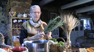 Captured by Colour Introduction to Natural Dyes [upl. by Radack]