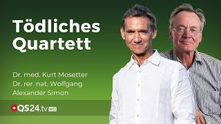 Tödliches Quartett «Das metabolische Syndrom»  QS24 [upl. by Sibel]