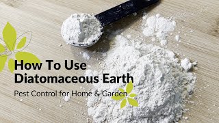 How To Use Diatomaceous Earth  Home amp Garden Pest Control [upl. by Niltak]