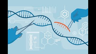 Genetics Lecture 27  Immunogenetics [upl. by Salocin]