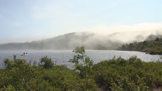 Smell that George’s Pond has a bit of an odour but it’s safe says ecologist [upl. by Rudman]