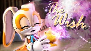 Sonic SFM Animation Tomska  The Wish [upl. by Aihsakal]