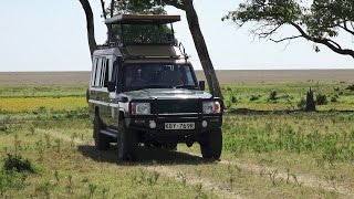 A Day on Safari in the Masai Mara [upl. by Oba]