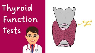 Thyroid Function Tests TFTs explained  COMPLETE GUIDE in 4 minutes [upl. by Acinoryt]