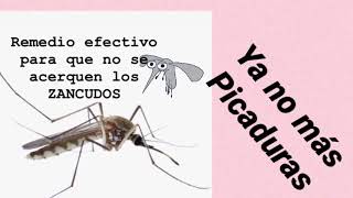 Remedio efectivo para que no te piquen los zancudos o mosquitos [upl. by Ainoloppa]