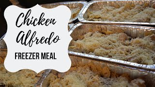 Chicken Alfredo Bake  Chicken Alfredo Freezer Meal  Filling my Freezer [upl. by Nyladnar344]