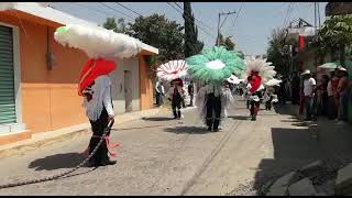 Carnaval Papalotla 2020 Culebra [upl. by Yrallam]