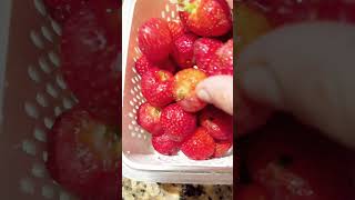 Restocking fridge Washing amp Prepping Fresh Strawberries amp Blueberries Satisfying Fruit Prep [upl. by Marou537]