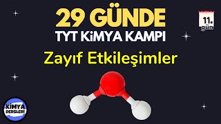 Zayıf Etkileşimler  29 Günde TYT Kimya Kampı  11Gün  9Sınıf Kimya  TYT 2024 [upl. by Queri622]