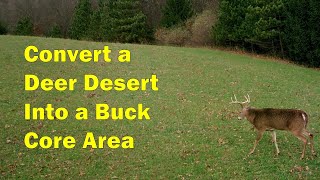 Converting a Hay Field into a Buck Rutting Zone With Switchgrass and Trees [upl. by Kling336]