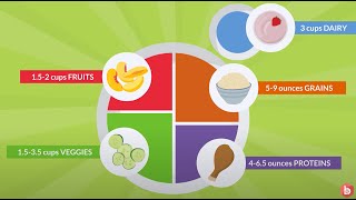 Nutrition Importance of the Five Food Groups [upl. by Mitzl]