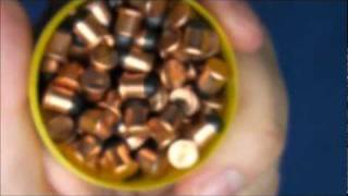 Interesting Ammo  6mm Flobert [upl. by Hildegaard]