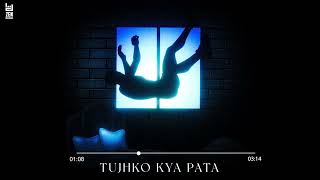 Vishesh MalikTujhko kya pata Zen Records  Official Audio New song 2024 [upl. by Ahsam521]