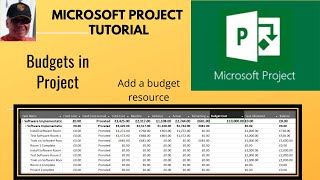 Use budgets in Microsoft Project Create a Budget resource [upl. by Chuck]