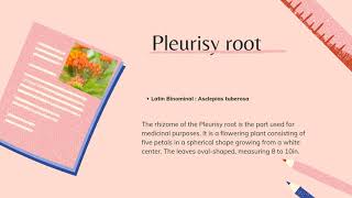 Pleurisy root Presentation [upl. by Metabel559]