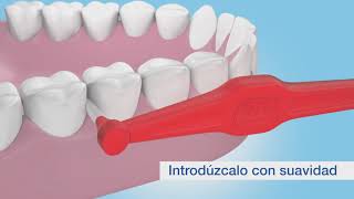 Cómo realizar una correcta limpieza interdental [upl. by Grimona649]