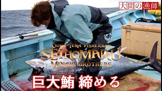 まぐろに背負い投げ 大間マグロ漁師 船上で大物まぐろを締める 捌く 内臓処理 生映像 JAPAN OMA MAGURO FISHING MOVIE [upl. by Neelak]